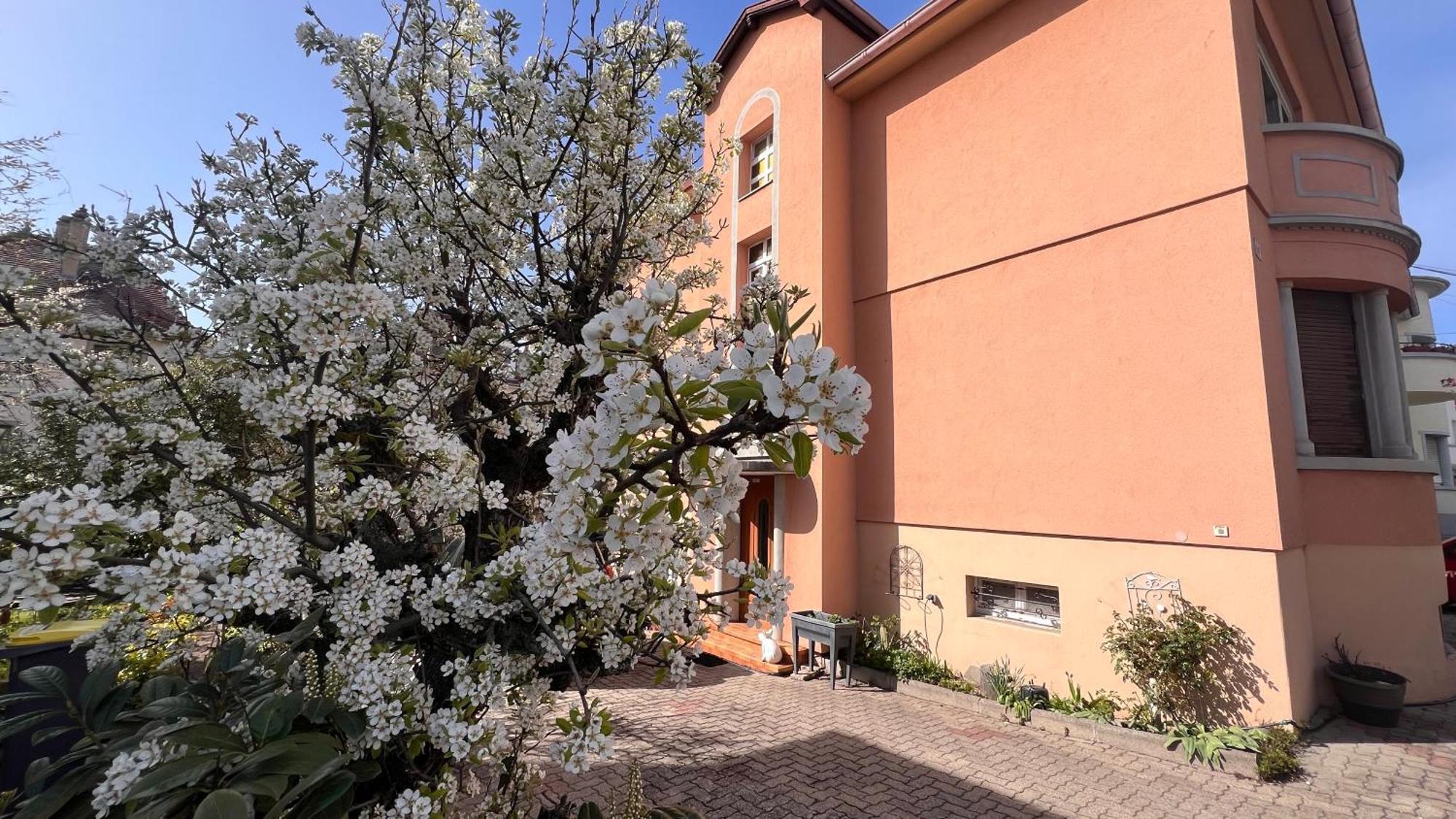 T3 + Veranda A Štrasburk Exteriér fotografie